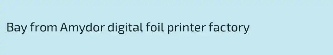 Bay from Amydor digital foil printer factory